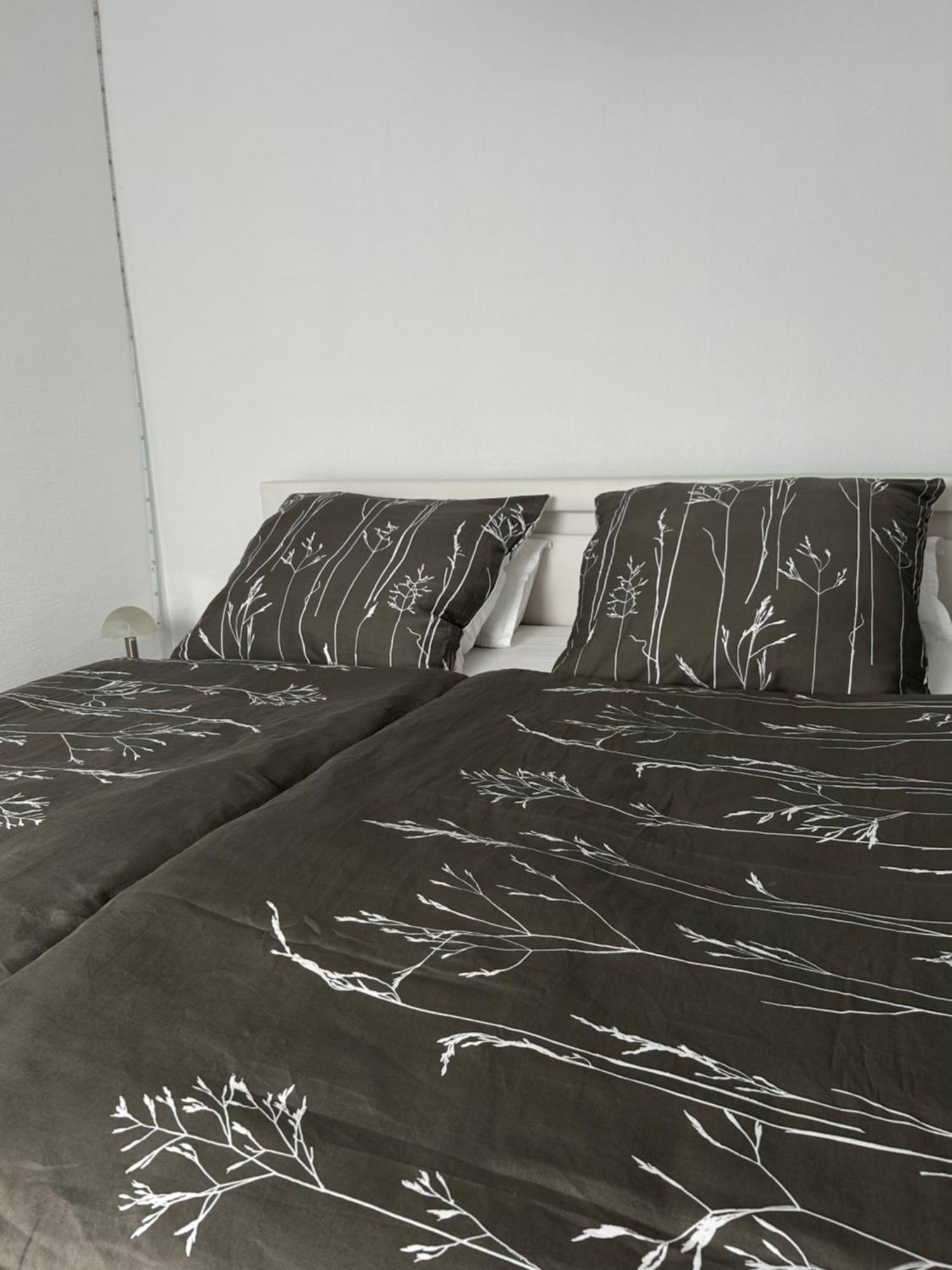 Ferienwohnung Zur Wildkatze Hallenberg Extérieur photo